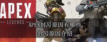 《APEX》封号原因有哪些，封号原因介绍